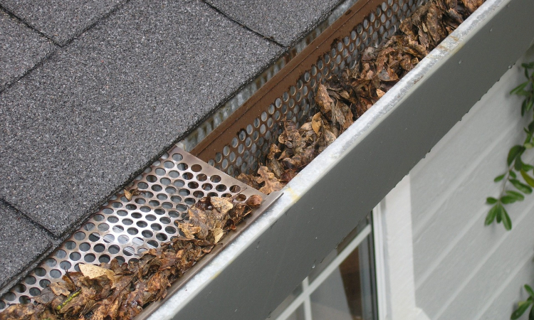 Guide to Mold and Pest-Free Living with Clean Gutters for Memphis Homeowners